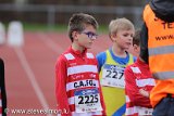 IMG_1315-1.jpg