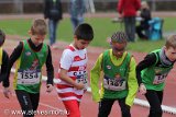 IMG_1317-1.jpg