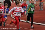 IMG_1348-1.jpg