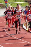 IMG_2003.jpg