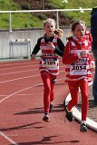 IMG_2017.jpg