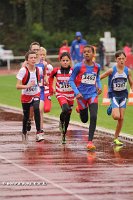IMG_2863.jpg