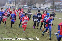 IMG_7011.jpg