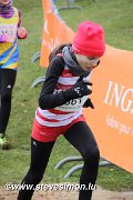 IMG_7281.jpg