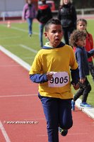 IMG_8737.jpg