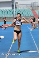 IMG_9255.jpg