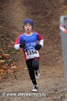 IMG_2441.jpg