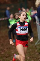 Cross Fola115.jpg