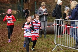 Cross Fola125.jpg