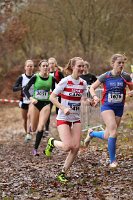 Cross Fola247.jpg