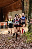 Cross Fola262.jpg