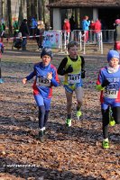 IMG_2679.jpg