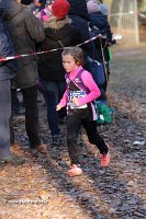 IMG_2931.jpg