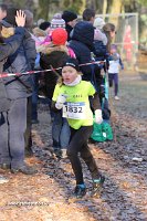 IMG_2946.jpg