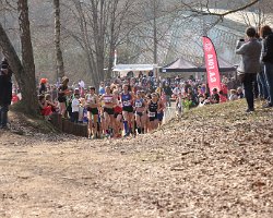 IMG_3362.JPG