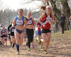IMG_3379.JPG