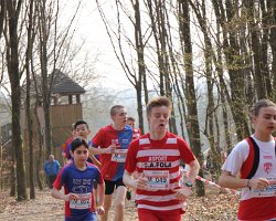 IMG_3497.JPG