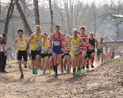 IMG_3570.JPG