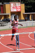 Champts-Nat-j_haies010.jpg