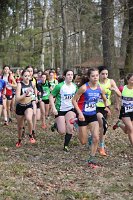 Cross-Chpts-025.jpg