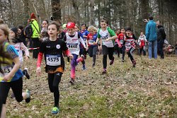 Cross-Chpts-144.jpg