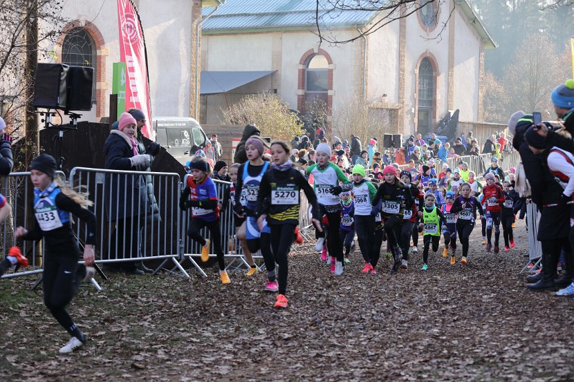 Cross Fola-184