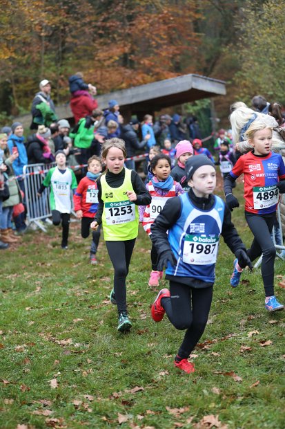 Cross-CAFola-2024-020