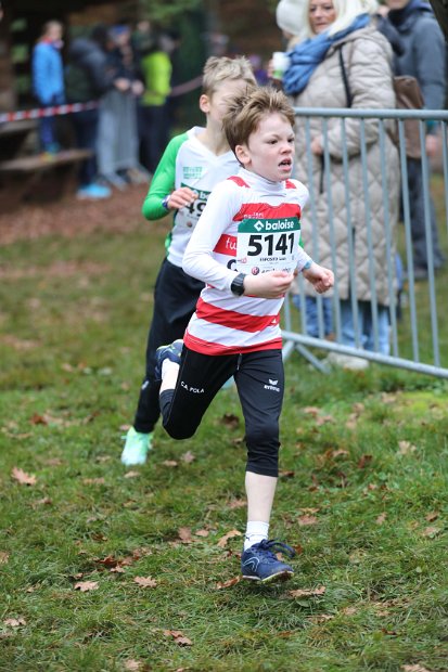 Cross-CAFola-2024-042