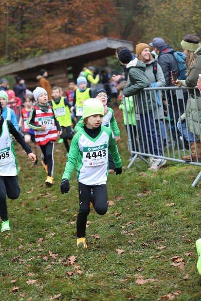 Cross-CAFola-2024-075