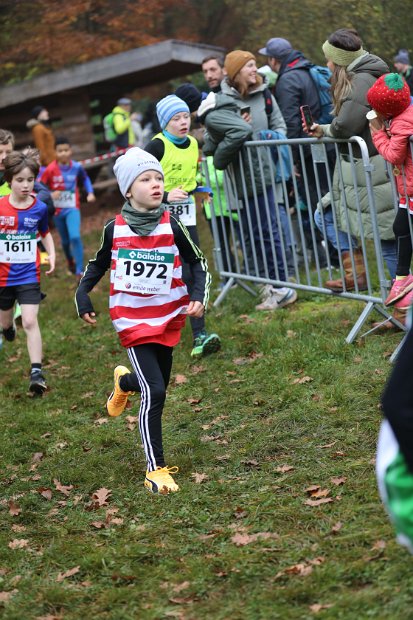 Cross-CAFola-2024-076