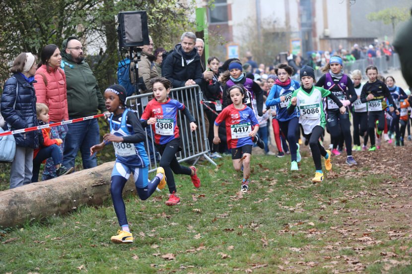 Cross-CAFola-2024-106