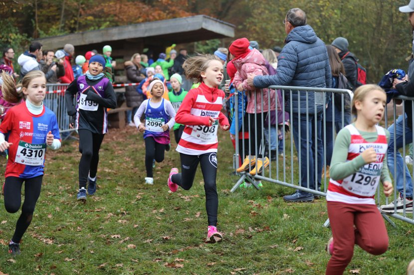 Cross-CAFola-2024-125