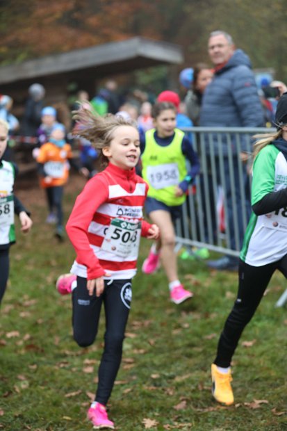 Cross-CAFola-2024-137