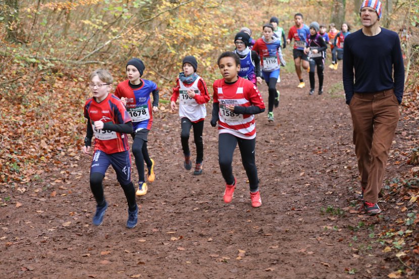 Cross-CAFola-2024-238