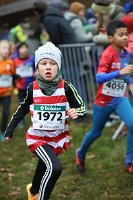 Cross-CAFola-2024-096.jpg
