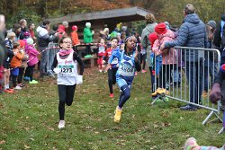 Cross-CAFola-2024-118.jpg