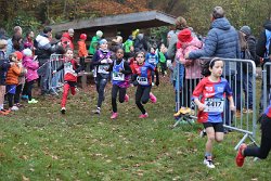 Cross-CAFola-2024-119.jpg