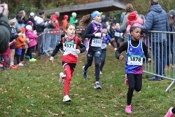 Cross-CAFola-2024-121.jpg