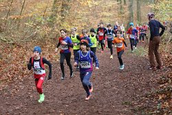 Cross-CAFola-2024-234.jpg