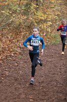 Cross-CAFola-2024-256.jpg