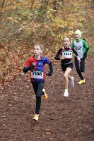 Cross-CAFola-2024-258.jpg