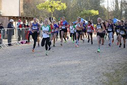 Cross-CAFola-2024-357.jpg