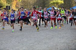 Cross-CAFola-2024-375.jpg