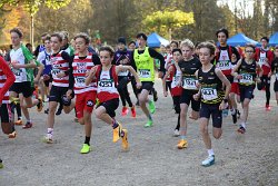 Cross-CAFola-2024-376.jpg